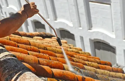 Nettoyage de toitures - Geishouse